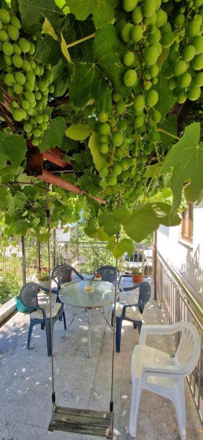 Family Apartment With Garden Szarajevó Kültér fotó