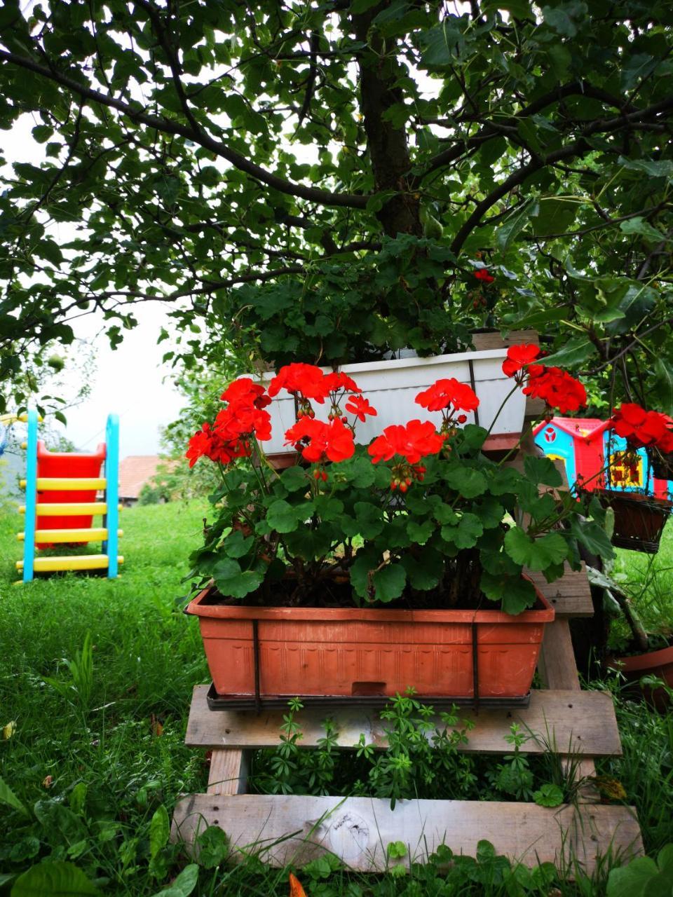 Family Apartment With Garden Szarajevó Kültér fotó