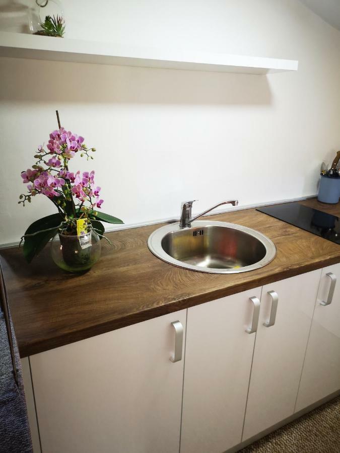 Family Apartment With Garden Szarajevó Szoba fotó