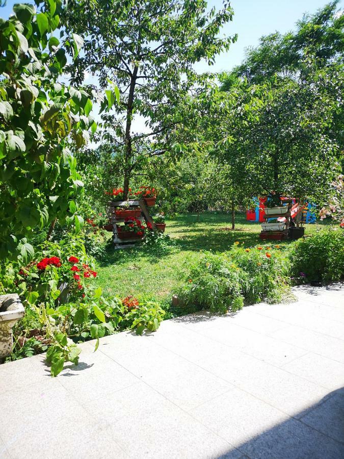 Family Apartment With Garden Szarajevó Kültér fotó